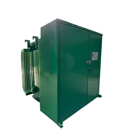 Transformador Pedestal 3000 KVA